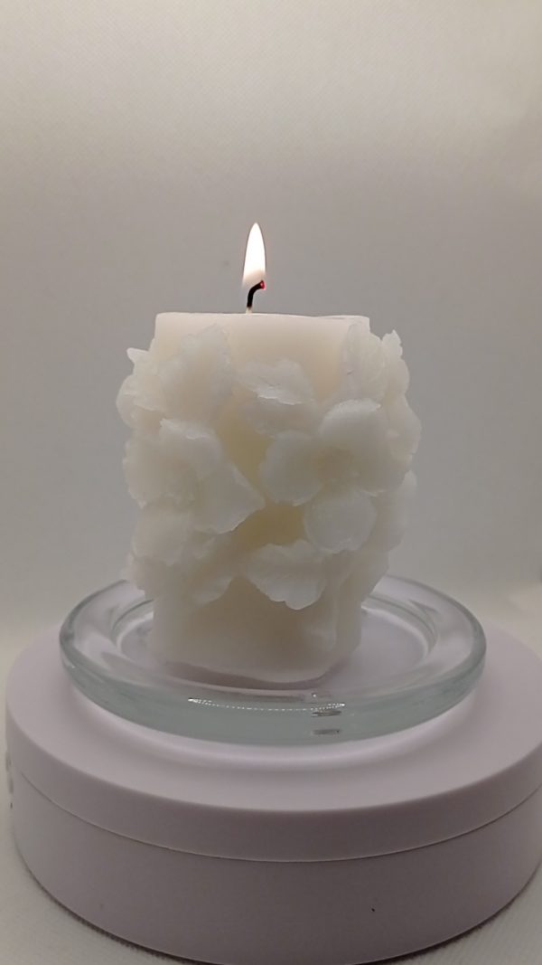 Candle Flowers 3D