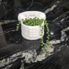 Home ceramic