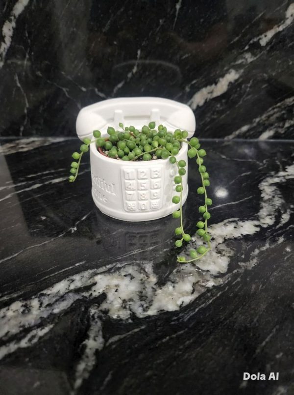 Home ceramic